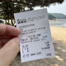 인천 차크닉, 차박 취사 가능한 당일치기 여행지 실미유원지 추천, 아기랑