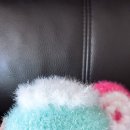 오늘더빛나개 이미지