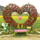 영산강둔치체육공원 이미지