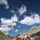 소모아농장 이미지