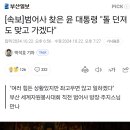 범어사 찾은 윤 대통령 &#34;돌 던져도 맞고 가겠다&#34; 이미지