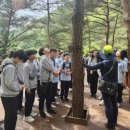 도래재자연휴양림(밀양) 이미지