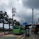 자인면행정복지센터 이미지