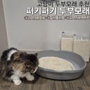 (주)퍼키퍼키 | 고양이두부모래 추천｜집사 필수템 퍼키퍼키 솔직후기 (응고력·탈취력·먼지 ZERO)