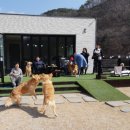 태담이네 하우스 이미지