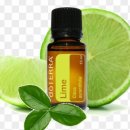 라임 (Lime) 이미지