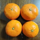 갑순이포차 이미지