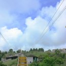 수겸농장 이미지