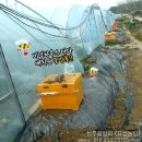 요셉 농장 이미지