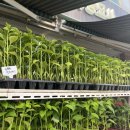 해든민박 이미지