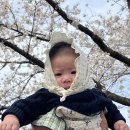 삼촌갈비 이미지