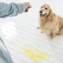 강원도동물위생시험소 이미지