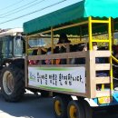 안동백조마을 이미지