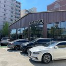 다이아로드 이미지