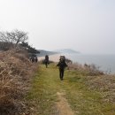 사   포 이미지