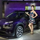 칵투스 아일랜드 이미지