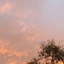 선셋(sunset) 이미지