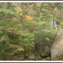 경보사 이미지