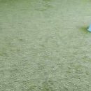 털로덮인친구들 수원매교점 이미지