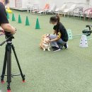 메디팜센텀약국 이미지