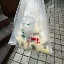 박달금호 | [강원도 속초] 장군시오야끼/ 강원도막걸리빵/ 속초홍게나라/ 풍년식당 방문 솔직 후기 ₍ˆ-⤙-ˆ₎