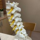 동탄리아한의원 이미지