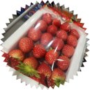 (주)파프리카랩 | 코스트코 3월 첫 주말 할인 장보기: 눈 밑 떨림 잡는 마그네슘 식재료 6가지 &amp; 세일 득템 리스트