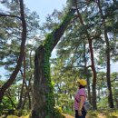 소수서원 관련 고문서 | 영주 소수서원(대한민국 서적 제55호)