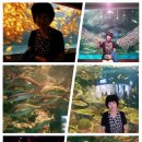 오대산서울 이미지