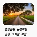 엄청나게 시꺼러운 농지 문제를 조금이라도 해결하려면 어떻게 해야 할까? 이미지