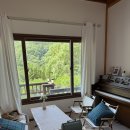 네이처펜션 | 산청펜션 캠핑도 펜션도 둘 다 즐길 수 있는 “라이온네이처빌리지”