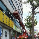 성가의원 이미지