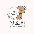 멍로하 이미지