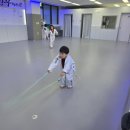 용인대 정무태권도장 이미지