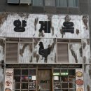 캔디네포차 | 양재역 고기집 양계옥 숯불향 가득 닭갈비 로컬 맛집 후기