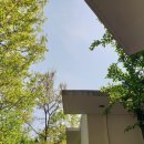 산골여행 이미지