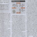 거품나라