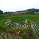 증2리 마을회관 이미지