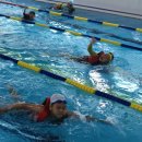 배방파인트리수영장 이미지