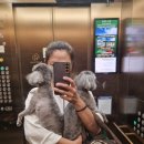 콩몽이네 이미지