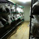 백봉령 농장 이미지