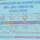 팜스축산 | 12. 양돈연구회 주최 신기술양돈워크숍 참석 후기