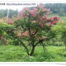 박성철농장 이미지