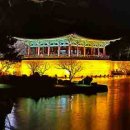 경주