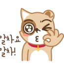 횡성지역자활센터 이미지