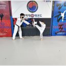 석사 경희대 효 태권도 이미지