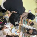 종덕초등학교병설유치원 이미지