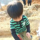 화곡농장 이미지