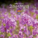 마치2리 마을회관 | 강화도 여행지 고려산 등산코스 진달래 명소 강화 고려산진달래축제