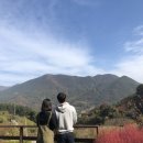 홍계곡민박 이미지